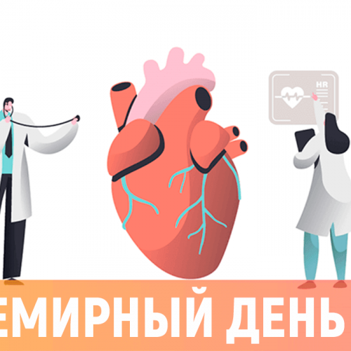 6 июля – День кардиолога