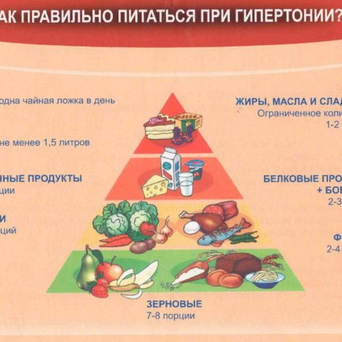 Правильное питание для профилактики артериальной гипертонии